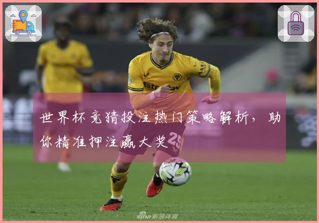世界杯竞猜投注热门策略解析，助你精准押注赢大奖