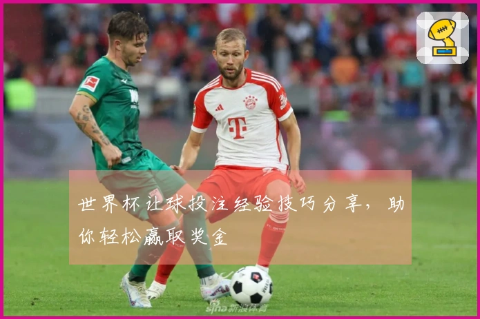 世界杯让球投注经验技巧分享，助你轻松赢取奖金