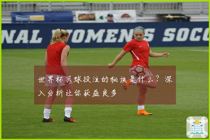 世界杯买球投注的秘诀是什么？深入分析让你获益良多