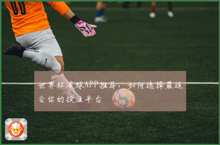 世界杯滚球APP推荐，如何选择最适合你的投注平台